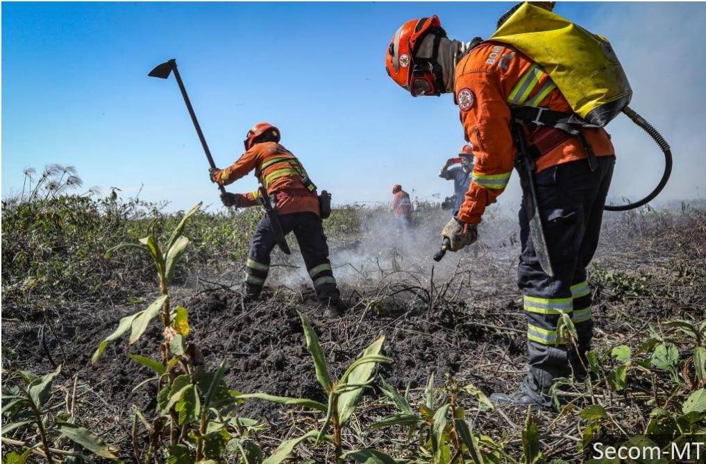 Bombeiros extinguem 4 incndios florestais e combatem outros 5 neste sbado (2)de agosto.  