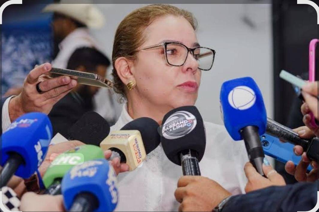 Presidente da Cmara pede mais dilogo com vice-prefeita: No fui recebida.