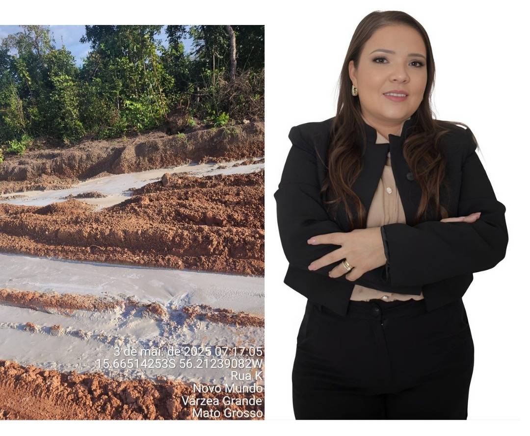 Vereadora Gisa Barros solicita diligncia para averiguar irregularidades no loteamento Novo Mundo.