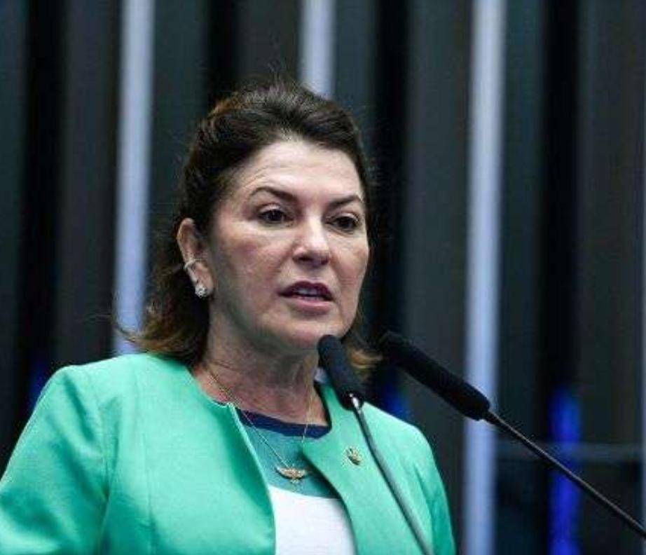 CCJ aprova projeto do voto impresso, e Rosana Martinelli comemora resultado.