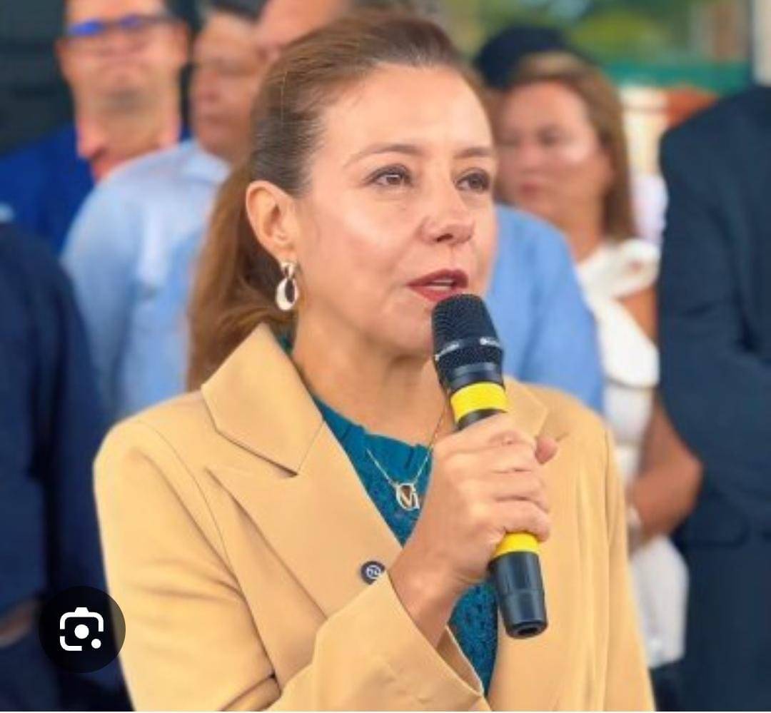 Flvia Moretti anuncia que concesso do DAE ser concluda durante sua gesto.