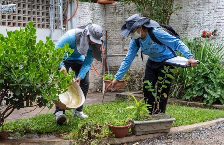 Prefeitura faz grande mutir�o contra a dengue em Cuiab� nesta ter�a
