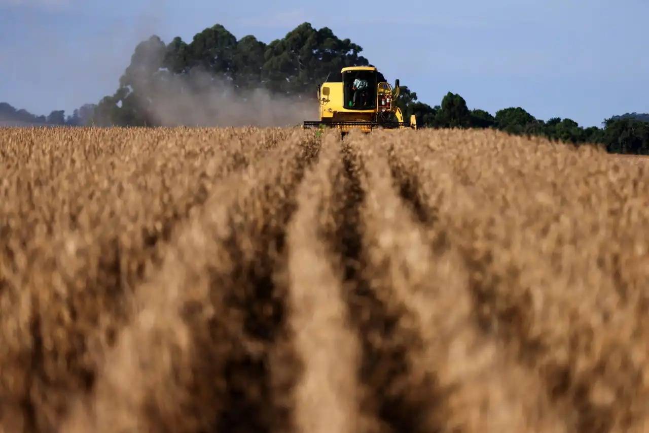 O Paradoxo do Campo: Mato Grosso bate recordes de exportação enquanto lidera recuperações judiciais