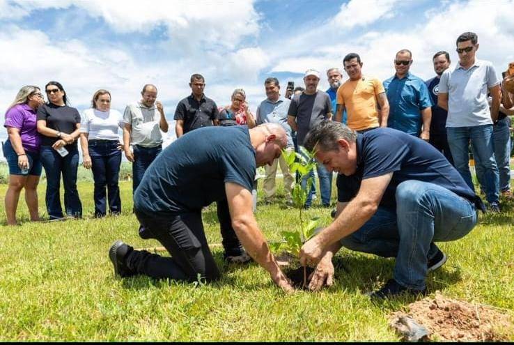 Parceria entre Prefeitura e Governo garante plantio de 10 mil árvores em Cuiabá