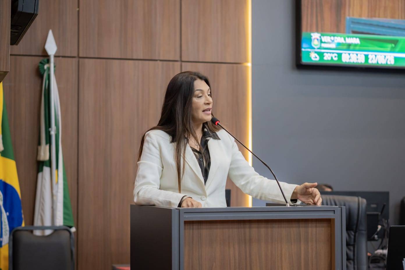 Dra. Mara apresenta relat�rio conclusivo da Comiss�o Especial que apurou den�ncia de ass�dio