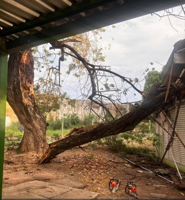 Ap�s chuva, Prefeitura auxilia enfermeira atingida por �rvore e remaneja servi�os da USF Lixeira Ba�