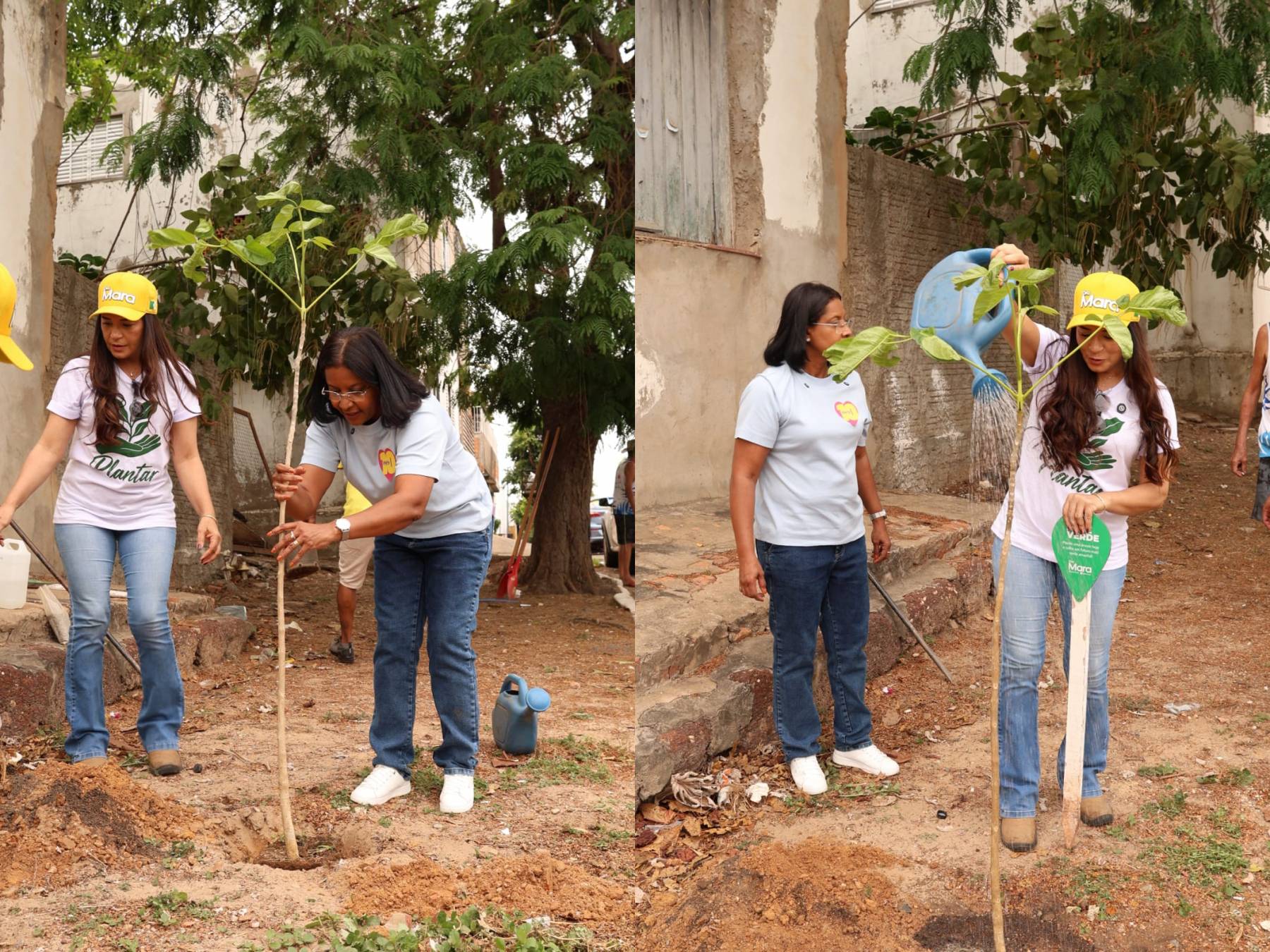 Vereadora Mara destaca import�ncia do Rede Verde na constru��o de uma Cuiab� mais verde