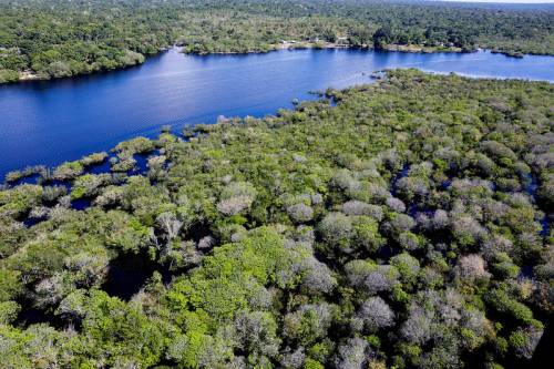 Lula sanciona lei do licenciamento ambiental com 63 vetos Para governo, vetos garantem proteção ambiental e segurança jurídica.