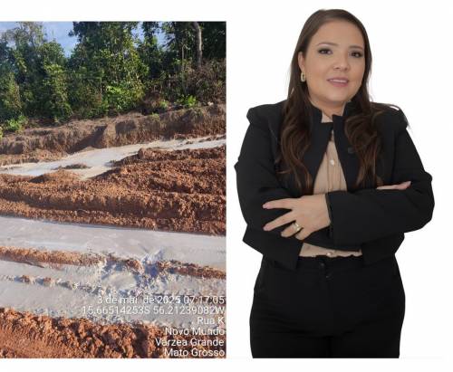 Vereadora Gisa Barros solicita diligência para averiguar irregularidades no loteamento Novo Mundo.