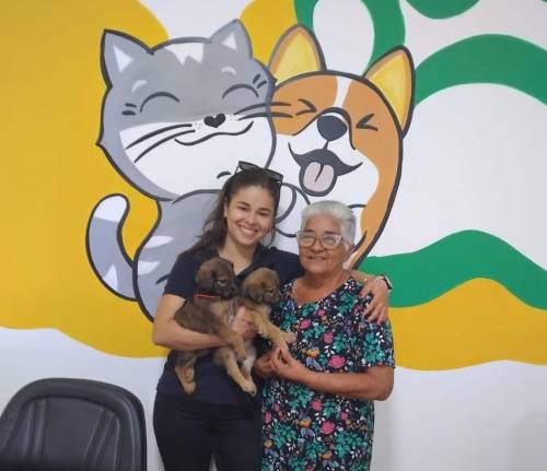 Campanha 20Ver conquista novos lares para cerca de 30 cães.
