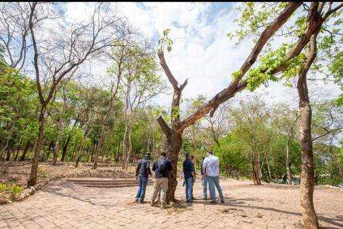 REVITALIZAÇÃO Prefeitura inicia levantamento ambiental no Morro da Luz.