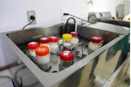 Bancos de Leite Humano de MT distribuem 1.587 litros para recém-nascidos prematuros em 2025.