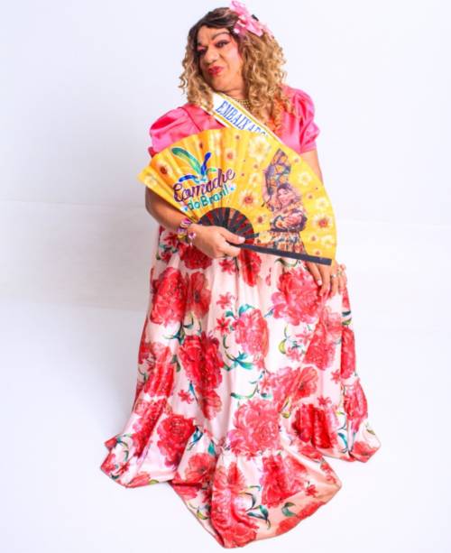 PROJETO COMADRE SEBASTIANA  REVIVENDO AS MEMÓRIAS DE CUIABÁ LEVA ARTE E AFETO AOS IDOSOS EM AÇÕES CULTURAIS NA CAPITAL