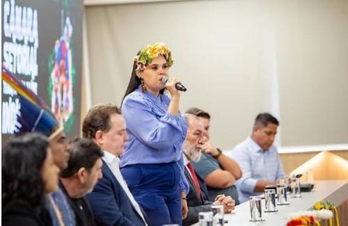 Nova era no diálogo com os povos originários: Câmara Setorial da Saúde Indígena inicia ações estruturantes em Mato Grosso