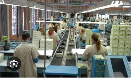 CCJ do Senado aprova redução da jornada e fim da escala 6x1.