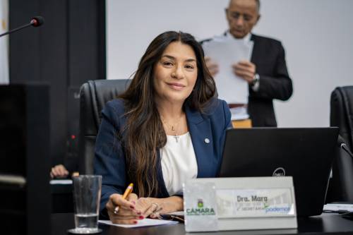 Comissão especial será presidida por Dra. Mara e acompanhará denúncia de assédio contra ex-secretário