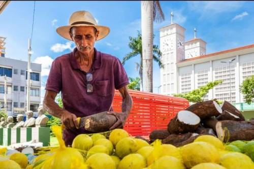 Produtos frescos e de qualidade atraem e fideliza clientes na Feira da Agricultura Familiar, Produtiva e Solidária