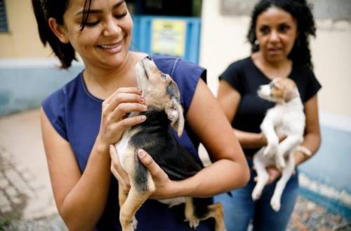 Cuiabá intensifica monitoramento de zoonoses e mantém vigilância ativa para proteger a população