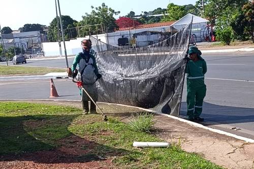 Guarita e Passagem da Conceição estão no mutirão de limpeza desta quinta em VG