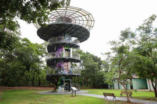 CREFITO-9 leva serviços de orientação em saúde ao Parque Mãe Bonifácia neste sábado (24)